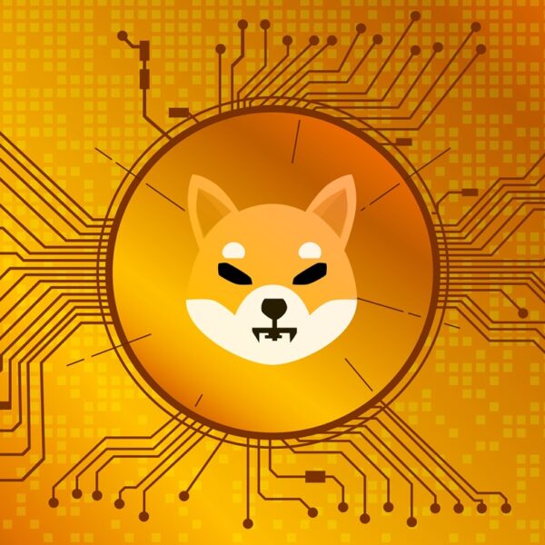 First US Public Company Embraces Shiba Inu For Payments