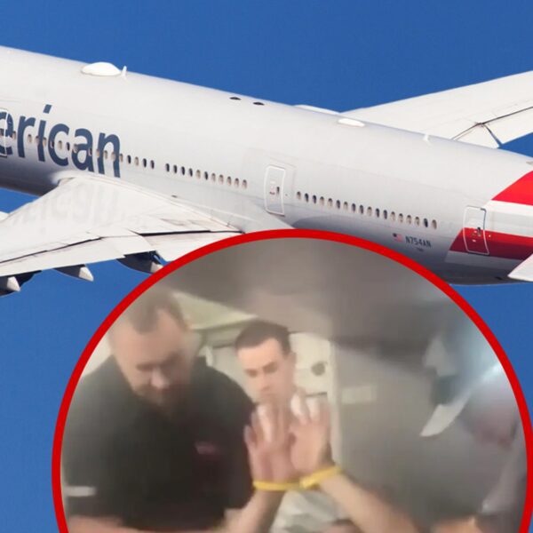 NJ Passenger’s Mid-Flight Meltdown On Camera, Allegedly Asked Attendant For Sex