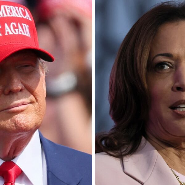 Harris leads Trump in three main election battlegrounds, ballot finds