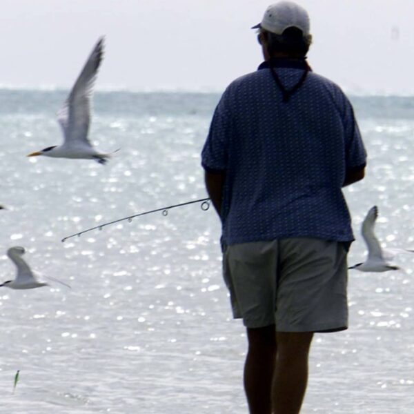 Tropical Storm Debby transferring by means of Gulf towards Florida