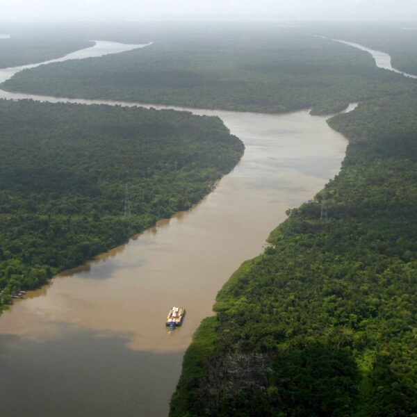 Severe drought has returned to the Amazon. And it’s occurring sooner than…