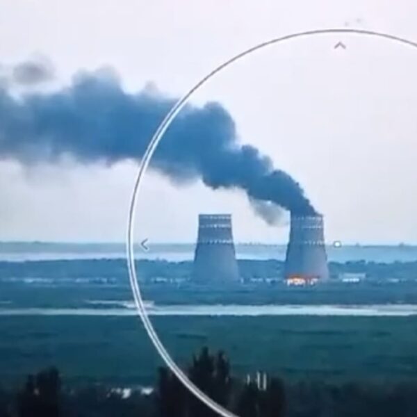 What’s occurring with Ukraine’s Kursk incursion and nuclear plant hearth