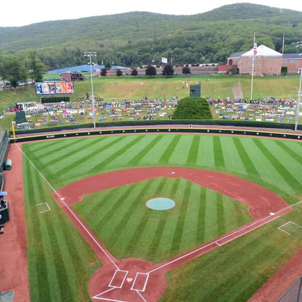 LLWS roundup: Mexico, Taiwan throw no-hitters