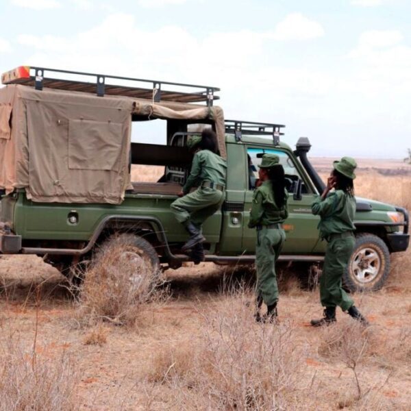 We should all accomplice to resolve Kenya’s human-wildlife conflicts – Investorempires.com