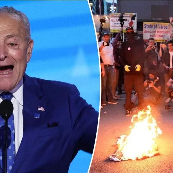 Schumer condemns antisemitism, blames Trump whereas anti-Israel agitators burn US flag exterior