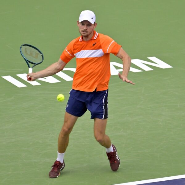 David Goffin overpowers Arthur Rinderknech at Winston-Salem Open