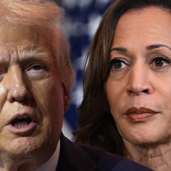 Donald Trump Reportedly Calls Kamala Harris a ‘B****’ in Private