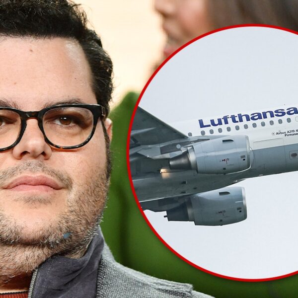 Josh Gad Rips Lufthansa Airline Over International Travel Nightmare