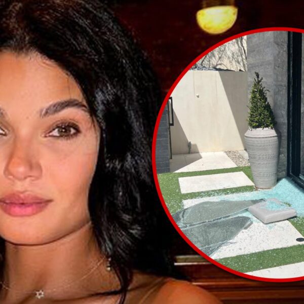 Victoria’s Secret Model Daniela Braga’s House Hit in $1 Million Burglary