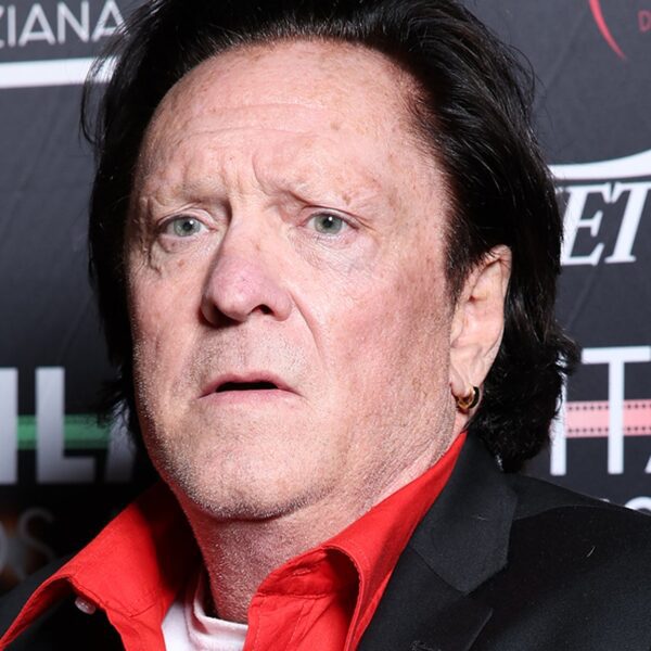 ‘Kill Bill’ Star Michael Madsen Arrested For Domestic Violence