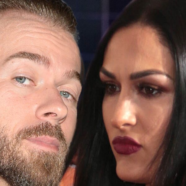 Artem Chigvintsev and Nikki Bella’s Marriage Has Been Volatile