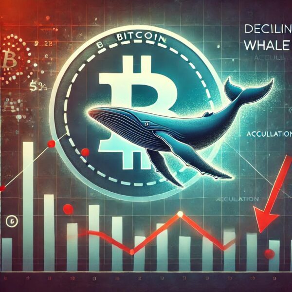 Is Bitcoin’s Bull Run Over? Report Shows Declining Whale Accumulation Points to…