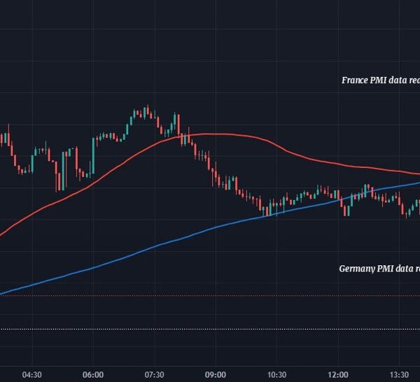 Euro dips barely after French, German PMI information