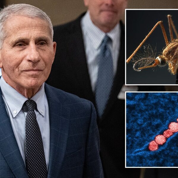 Fauci hospitalized after testing optimistic for West Nile virus, now recovering at…