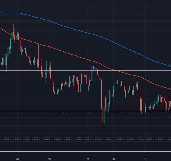 Sterling falls as merchants eye BOE coin flip later within the day