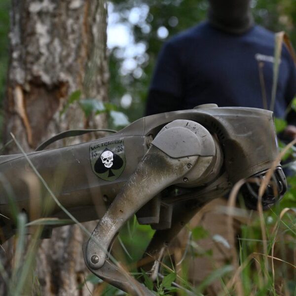 Ukraine recruits robotic canine to interchange troopers on its entrance line with…