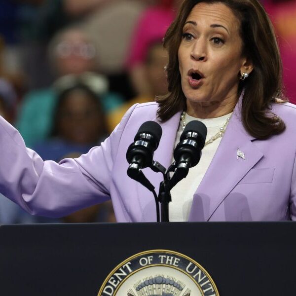 Kamala Harris requires a ban on price-gouging to battle excessive grocery prices