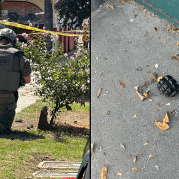 California gardener finds Russian-style grenades in bushes