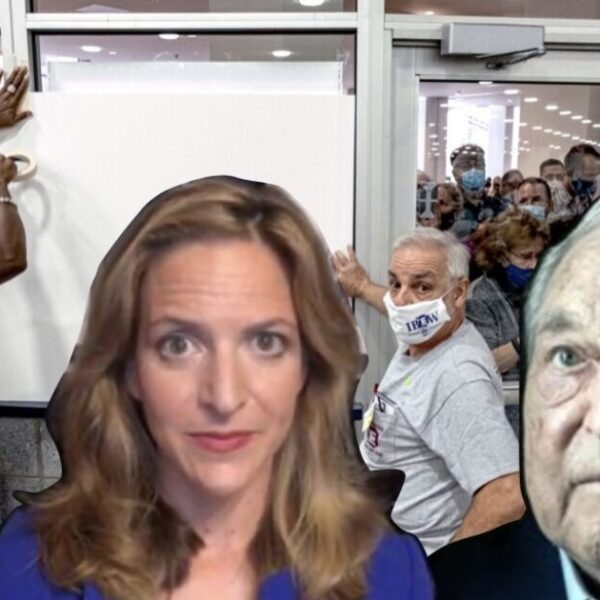 MI Senator OBLITERATES Soros-Backed SOS Jocelyn Benson After She Loses EIGHTH Election-Related…