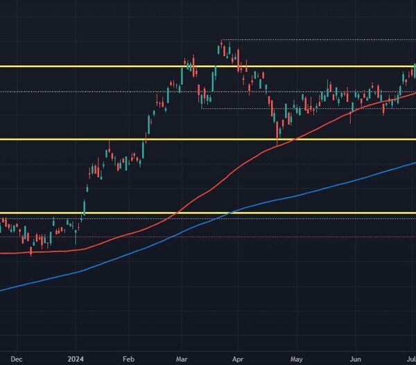 Japan’s Nikkei down 8%, wipes out the good points for the 12…