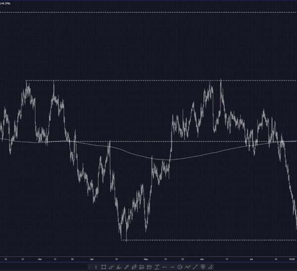 NZDUSD exams near 0.63 after earlier NZ information – Investorempires.com