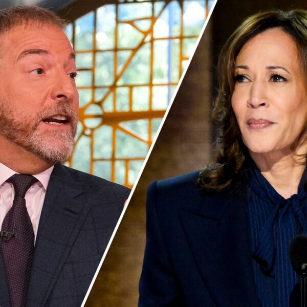 NBC’s Chuck Todd knocks Kamala Harris’ ‘mistake’ of avoiding press: ‘Any fumble’…