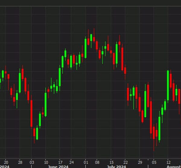 OPEC+ is prone to proceed with a deliberate gradual manufacturing enhance from…