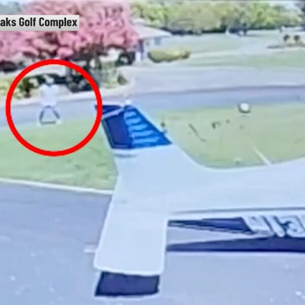 Pilot survives crash touchdown at California golf course with barely a scratch