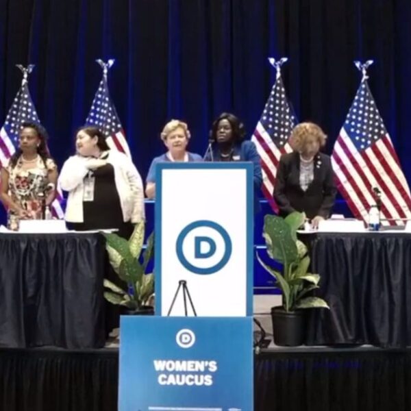 MAKE IT STOP! DNC Brings within the Cat Ladies to Sing the…