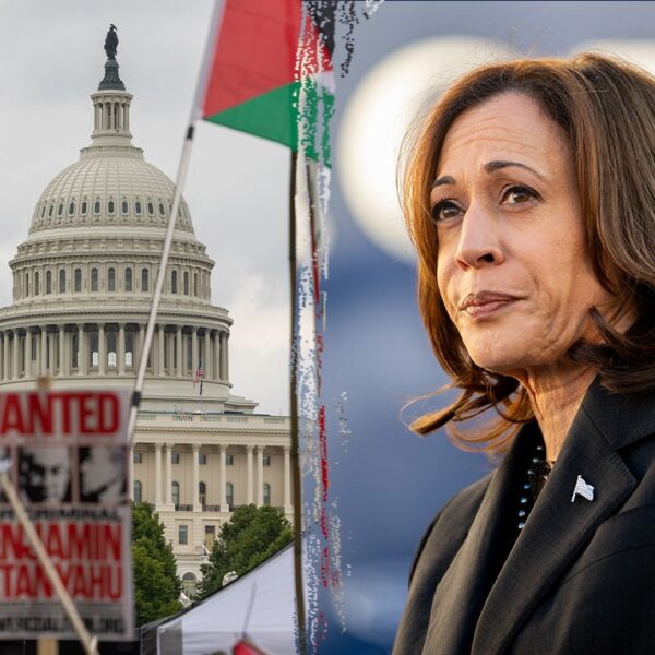 Harris voters defend Democratic presidential nominee on Israel-Hamas battle: ‘She’s married to…