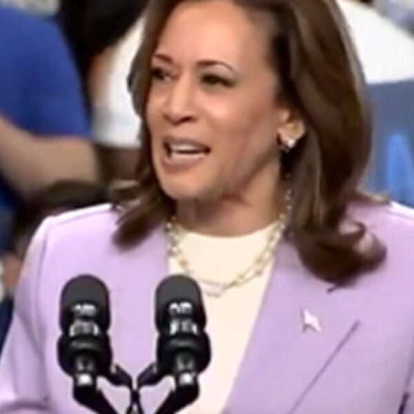 Shameless Kamala Harris Rips Off Trump’s Idea for No Taxes on Tips…