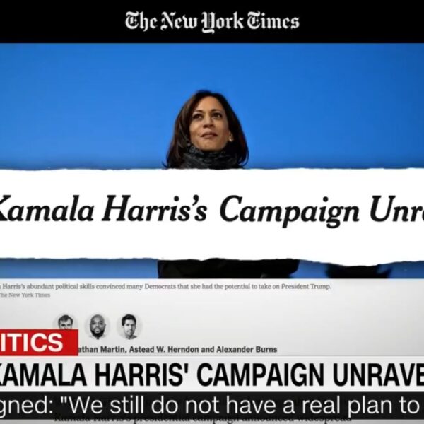 Elon Musk Shares Devastating Video ‘The Unraveling of Kamala Harris’ on His…