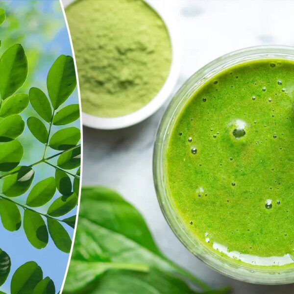 Dietitians make clear the potential well being advantages of moringa