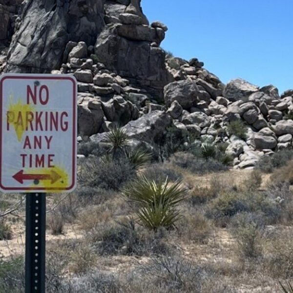 German vacationers shoot paintballs at indicators at Joshua National Park