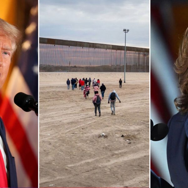 ‘Total bulls—‘: Trump marketing campaign rips ‘preposterous’ Harris pro-border wall narrative after…