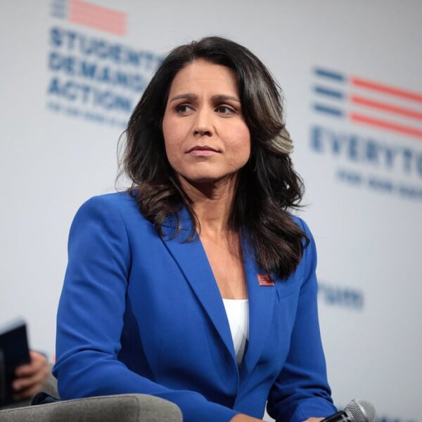 Federal Air Marshal Whistleblowers Reveal Tulsi Gabbard is Actively Under Surveillance Through…