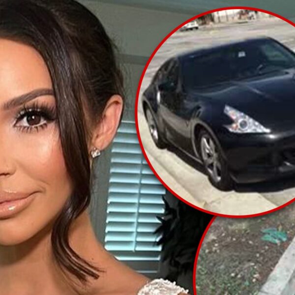 Scheana Shay Says Car Was Stolen From Right In Front of House