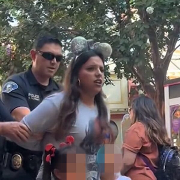 Disneyland Parkgoer Escorted Out in Handcuffs With Crying Kids Hanging On