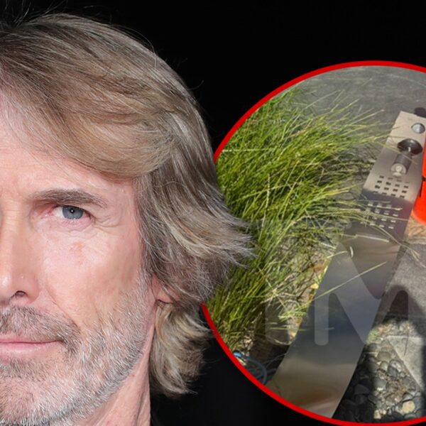 Michael Bay’s Home Damaged In Hit-and-Run, Cops Say