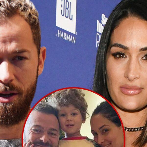 Artem Chigvintsev & Nikki Bella Have Fight Brewing Over Custody, Spousal Support