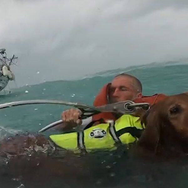 U.S. Coast Guard Saves Man, Dog in Dramatic Video After Hurricane Damages…