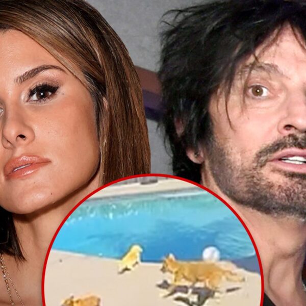 Tommy Lee & Brittany Furlan’s Dog Snatched By Coyote From Their Backyard