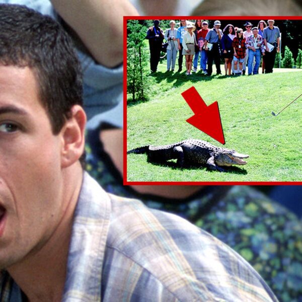 ‘Happy Gilmore’ Alligator Open To Role In Sequel