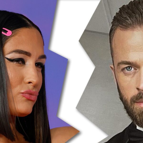 Nikki Bella Files To Divorce Artem Chigvintsev After His Domestic Violence Bust