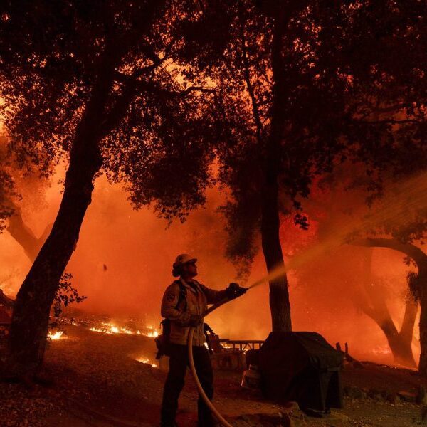 California wildfires burn 3X the acreage in comparison with all of 2023