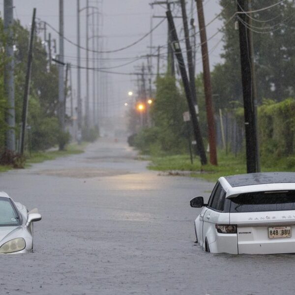 Recent hurricanes have prompted over $200 billion in harm