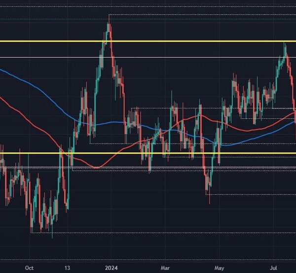 AUD/USD continues to set its sight on the December excessive as RBA…