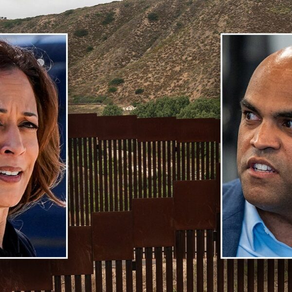 Texas Dem’s Senate advert options border wall he as soon as blasted…