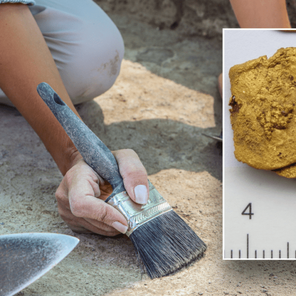 Archaeologists in Bulgaria discover historic golden treasure in sudden spot