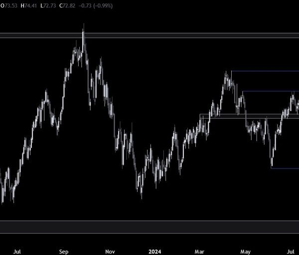 Crude Oil Technical Analysis – At a crucial assist forward of the…